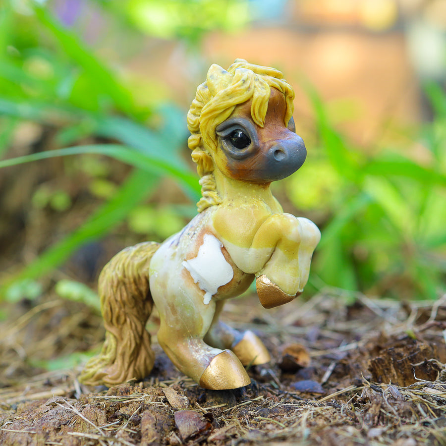 Mustard Pinto Brumby GumiPoni