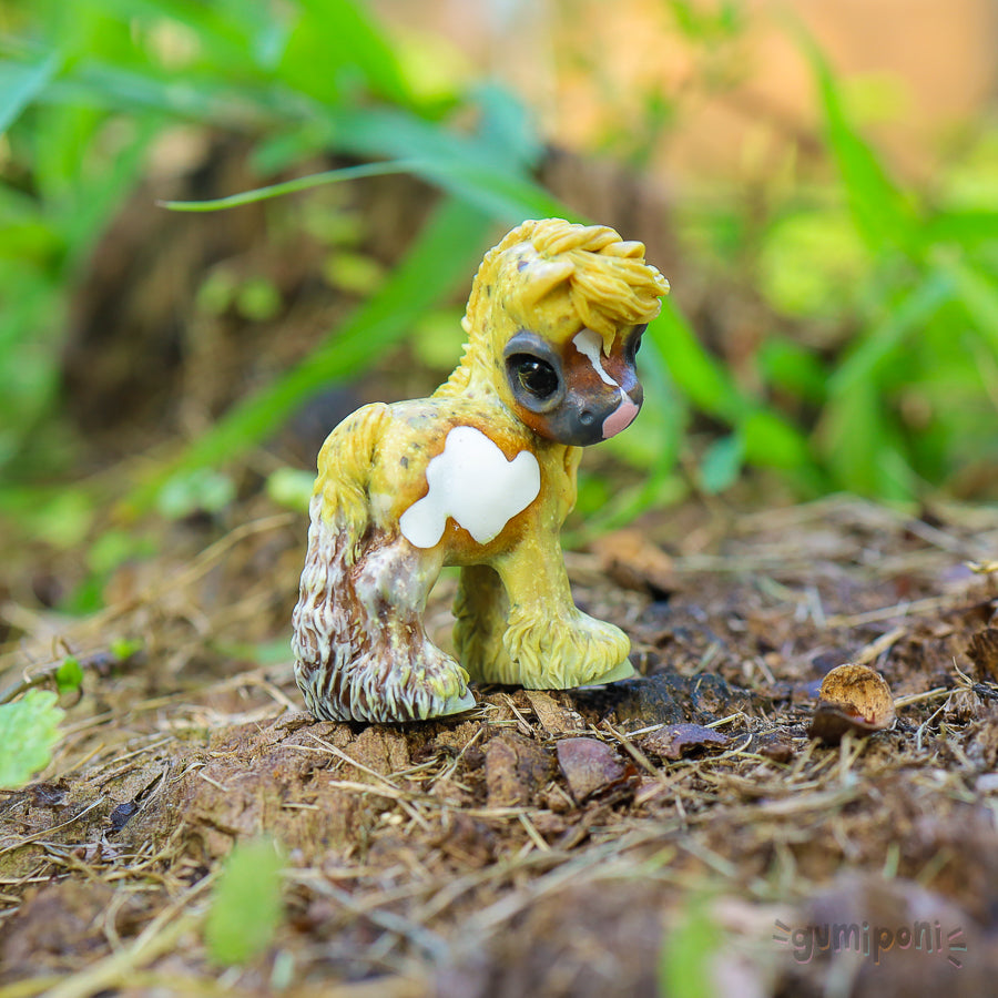 Mustard Pinto Fae GumiPoni