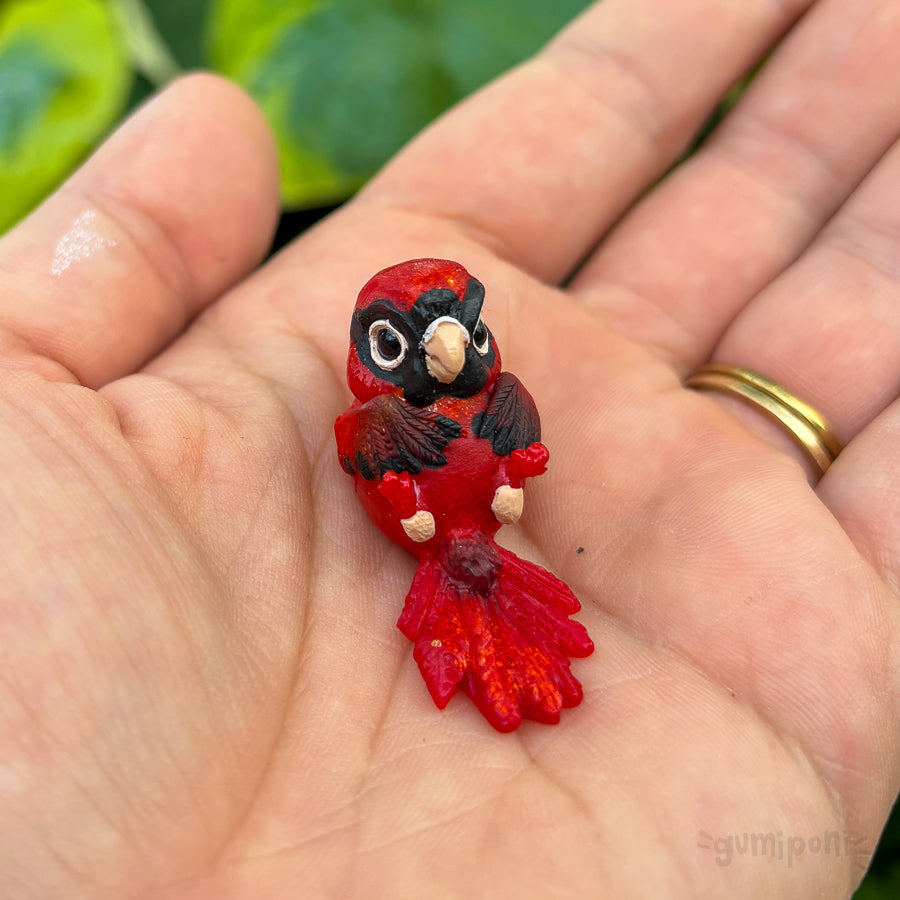 Cardinal GumiBirb