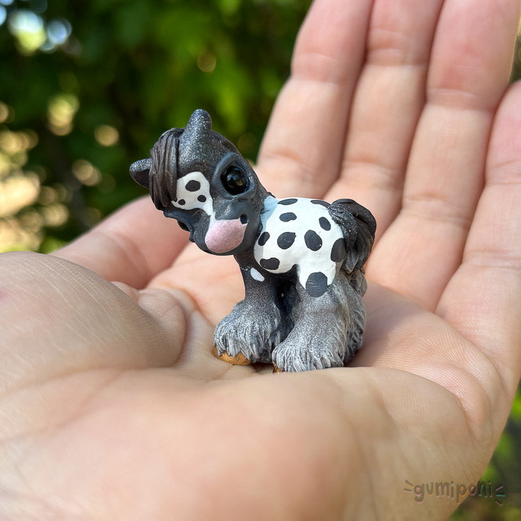 Peppercorn Appy Shyloh GumiPoni