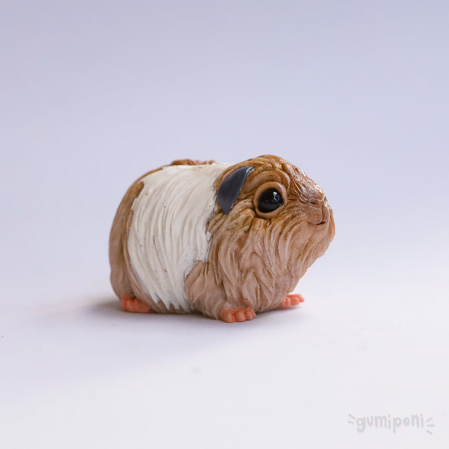 GuineaPiggi "Stacy"