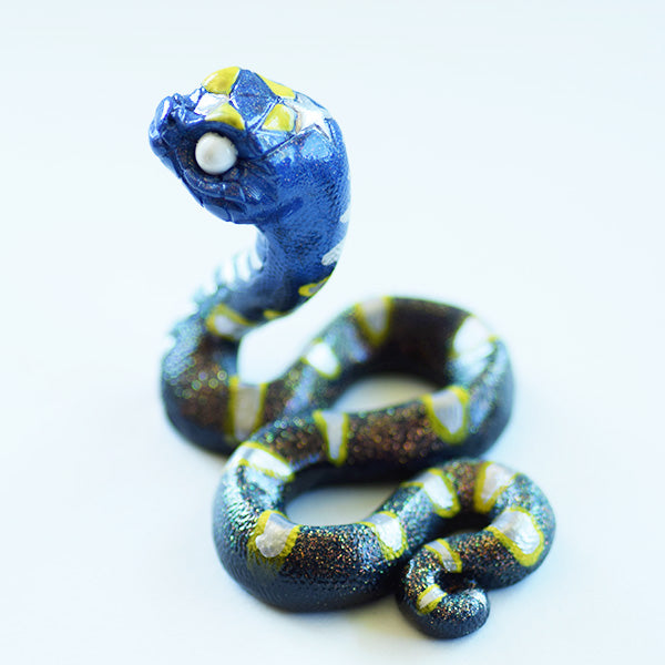 Blue and Yellow Ghost-Eye Snake