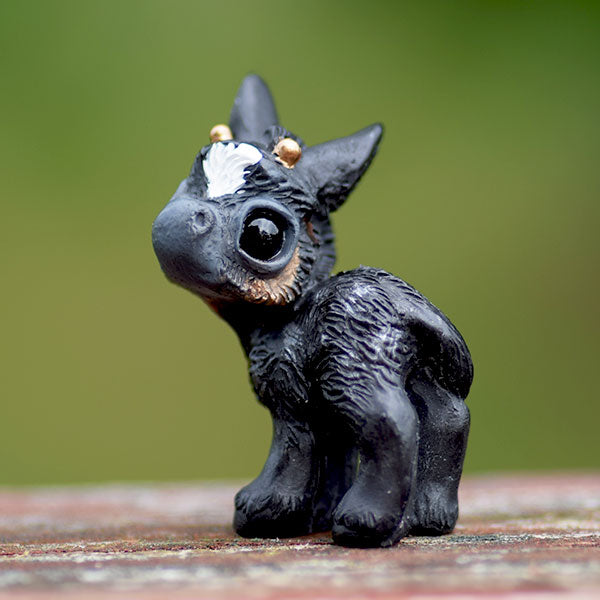 Dark Bay baby Donkalope