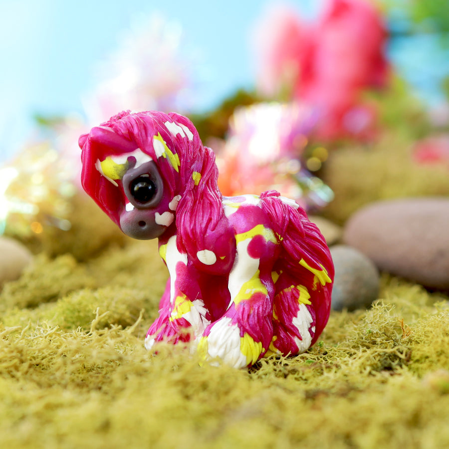 Splash Cob