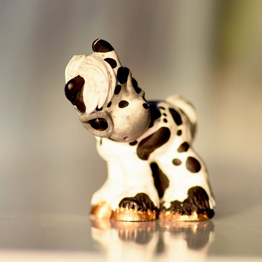 Newbie Exclusive Leopard GumiPoni