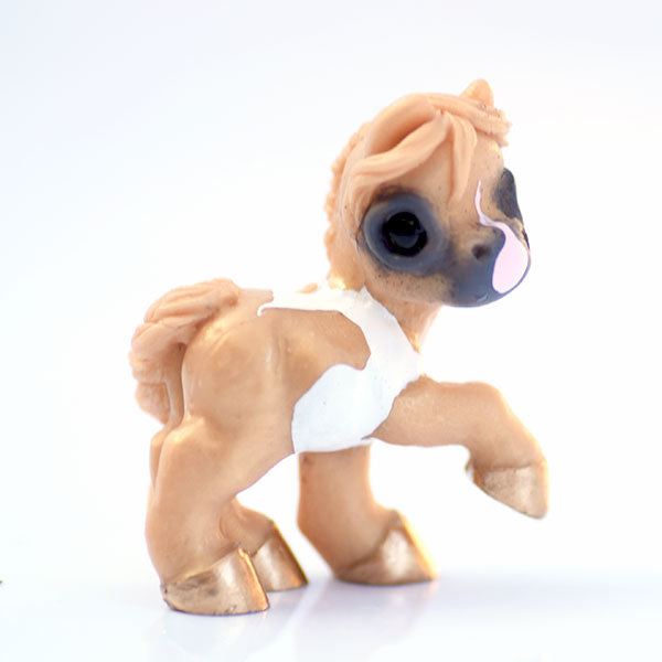 Pale Pinto GumiPoni
