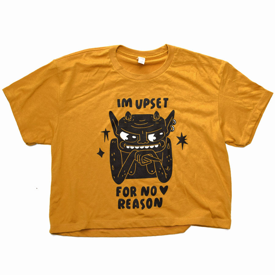 Upset for No Reason Shirt ✨
